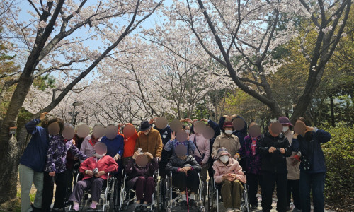 [공립명지치매전문주야간보호센터] 봄 꽃 맞이 산책(25.04.08)